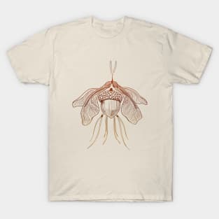 Forest Moth Acorn Forest Floor Objects T-Shirt